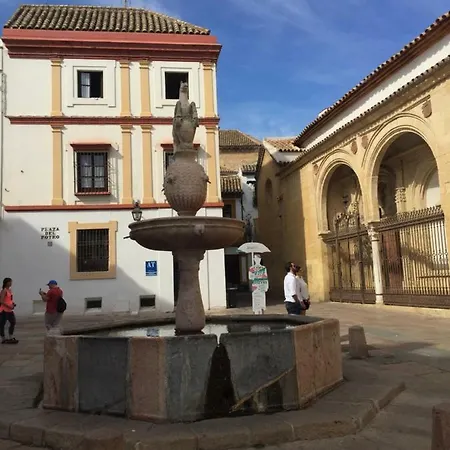 Daire Plaza De La Corredera Cordoba